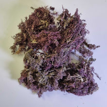 Load image into Gallery viewer, Purple Sea Moss (Raw)