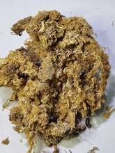 Load image into Gallery viewer, Gold Sea Moss (Raw)
