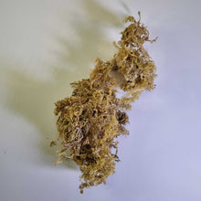 Load image into Gallery viewer, Gold Sea Moss Gel  - Australian Customers Only
